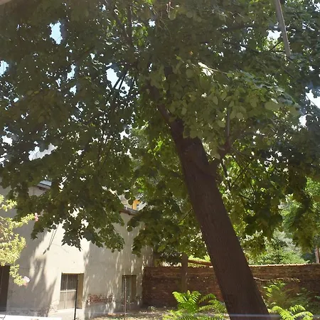 Apartmán Linden Tree House *